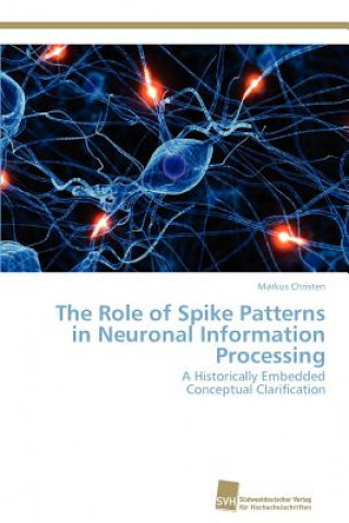Könyv Role of Spike Patterns in Neuronal Information Processing Markus Christen