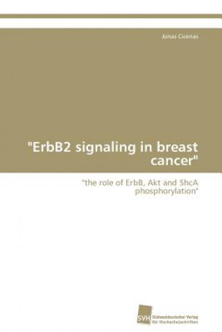 Carte ErbB2 signaling in breast cancer Cicenas Jonas