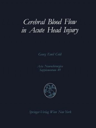 Kniha Cerebral Blood Flow in Acute Head Injury Georg E. Cold