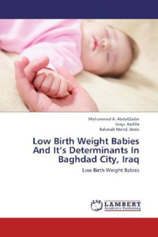 Kniha Low Birth Weight Babies And It's Determinants In Baghdad City, Iraq Mohammed A. AbdalQader