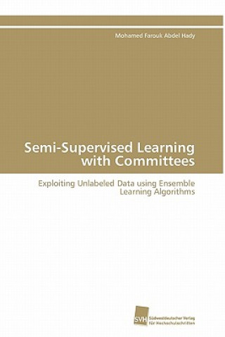 Książka Semi-Supervised Learning with Committees Mohamed Farouk Abdel Hady