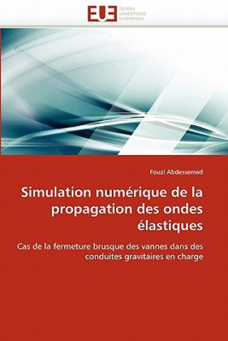 Βιβλίο Simulation Num rique de la Propagation Des Ondes  lastiques Fouzi Abdessemed