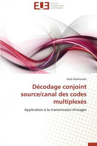 Könyv D codage Conjoint Source/Canal Des Codes Multiplex s Najd Abdmouleh