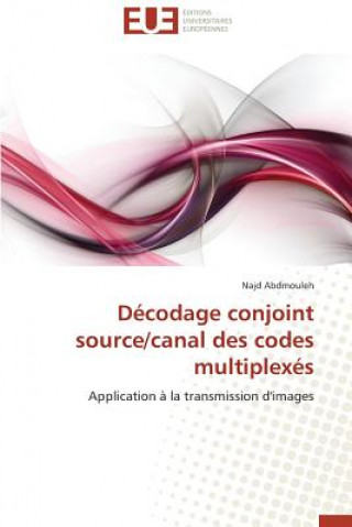 Knjiga D codage Conjoint Source/Canal Des Codes Multiplex s Najd Abdmouleh