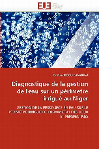Könyv Diagnostique de la Gestion de l''eau Sur Un P rimetre Irrigu  Au Niger Ibrahim Abdou Danguiwa