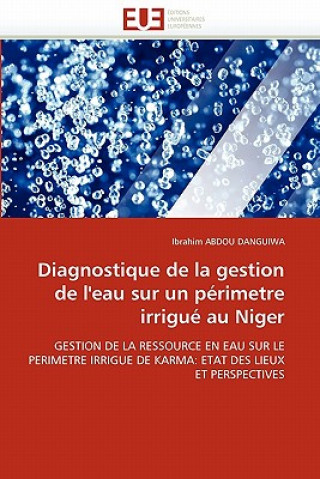 Buch Diagnostique de la Gestion de l''eau Sur Un P rimetre Irrigu  Au Niger Ibrahim Abdou Danguiwa