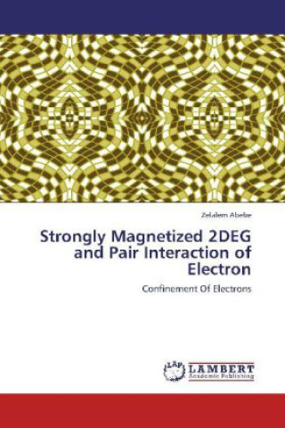 Könyv Strongly Magnetized 2DEG and Pair Interaction of Electron Zelalem Abebe
