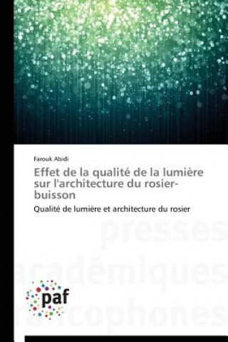 Kniha Effet de la Qualite de la Lumiere Sur l'Architecture Du Rosier-Buisson Farouk Abidi