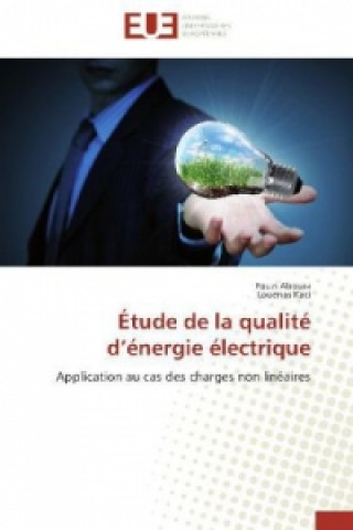 Könyv Étude de la qualité d'énergie électrique Fouzi Aboura