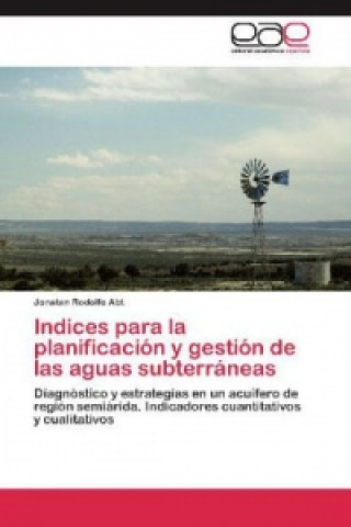 Kniha Indices para la planificacion y gestion de las aguas subterraneas Jonatan Rodolfo Abt