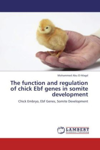 Книга The function and regulation of chick Ebf genes in somite development Mohammed Abu El-Magd