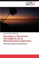Könyv Geologia y Recursos Geologicos de la Mesopotamia Argentina Acenolaza Florencio Gilberto