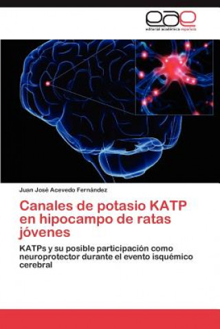 Buch Canales de Potasio Katp En Hipocampo de Ratas Jovenes Juan José Acevedo Fernández