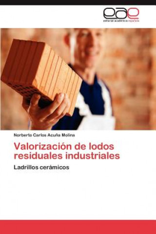 Könyv Valorizacion de Lodos Residuales Industriales Norberto Carlos Acu a Molina