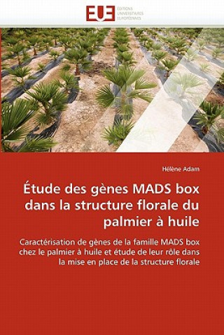 Carte tude Des G nes Mads Box Dans La Structure Florale Du Palmier   Huile Adam-H