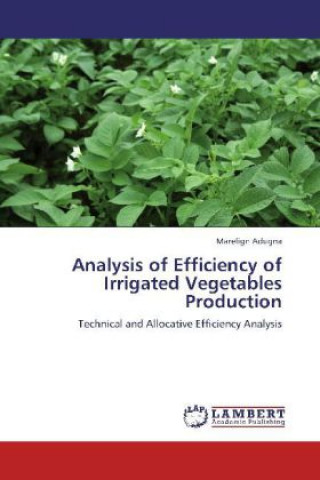 Kniha Analysis of Efficiency of Irrigated Vegetables Production Marelign Adugna