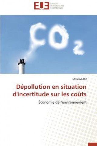 Carte D pollution En Situation d'Incertitude Sur Les Co ts Mourad Afif