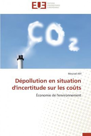 Книга D pollution En Situation d'Incertitude Sur Les Co ts Mourad Afif