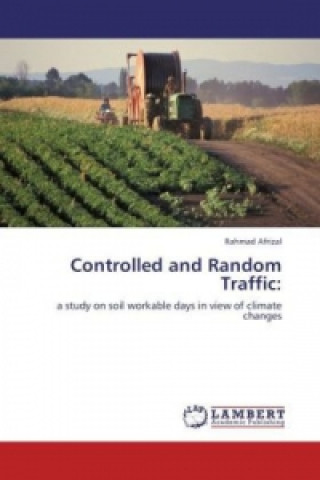 Kniha Controlled and Random Traffic: Rahmad Afrizal