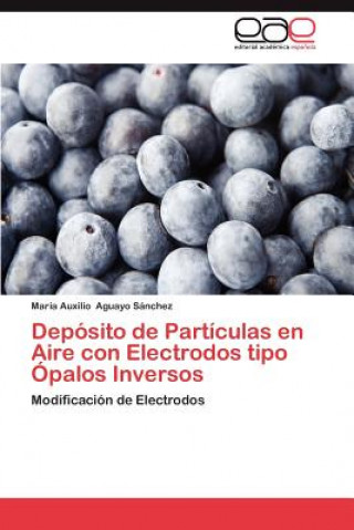 Könyv Deposito de Particulas En Aire Con Electrodos Tipo Opalos Inversos María Auxilio Aguayo Sánchez