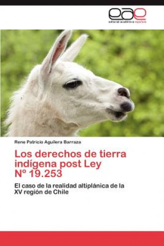 Книга derechos de tierra indigena post Ley N Degrees 19.253 Rene Patricio Aguilera Barraza