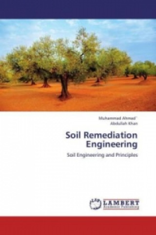 Kniha Soil Remediation Engineering Muhammad Ahmad