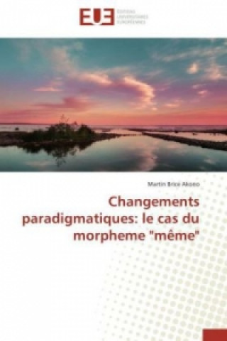 Könyv Changements paradigmatiques: le cas du morpheme "même" Martin Brice Akono