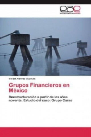 Kniha Grupos Financieros en Mexico Vianet Alberto Guzmán