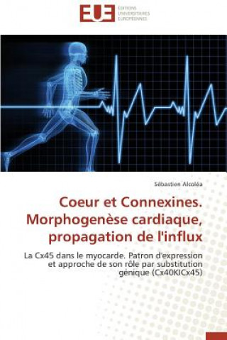 Книга Coeur Et Connexines. Morphogen se Cardiaque, Propagation de l'Influx Sébastien Alcoléa