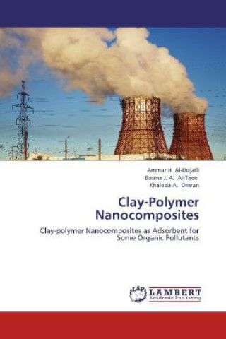 Buch Clay-Polymer Nanocomposites Ammar H. Al-Dujaili