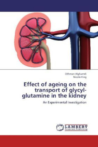 Kniha Effect of ageing on the transport of glycyl-glutamine in the kidney Othman Alghamdi