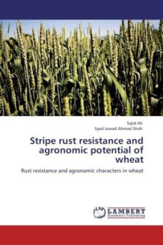 Könyv Stripe rust resistance and agronomic potential of wheat Sajid Ali