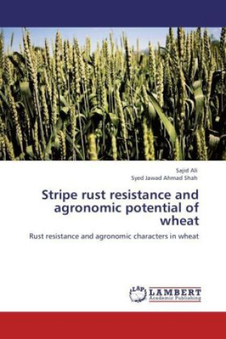 Kniha Stripe rust resistance and agronomic potential of wheat Sajid Ali