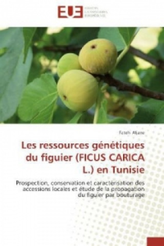 Kniha Les ressources génétiques du figuier (FICUS CARICA L.) en Tunisie Fateh Aljane