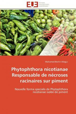 Carte Phytophthora nicotianae responsable de necroses racinaires sur piment Mohamed Bechir Allagui