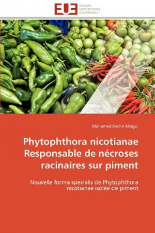 Buch Phytophthora nicotianae responsable de necroses racinaires sur piment Mohamed Bechir Allagui