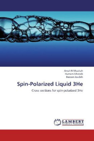 Kniha Spin-Polarized Liquid 3He Amal Al-Maaitah