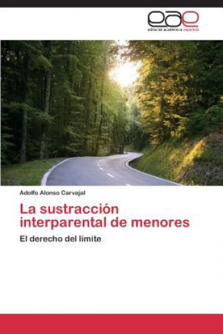 Kniha Sustraccion Interparental de Menores Adolfo Alonso Carvajal