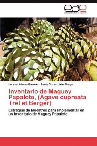 Buch Inventario de Maguey Papalote, (Agave Cupreata Trel Et Berger) Lorena Alonso Guzmán