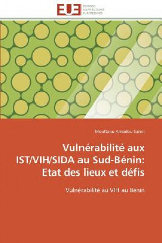 Kniha Vulnerabilite aux ist/vih/sida au sud-benin Mouftaou Amadou Sanni