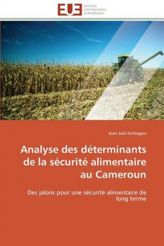 Carte Analyse Des D terminants de la S curit  Alimentaire Au Cameroun Jean Joël Ambagna
