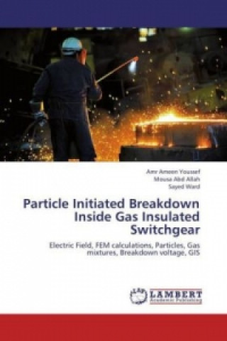 Könyv Particle Initiated Breakdown Inside Gas Insulated Switchgear Amr Ameen Youssef