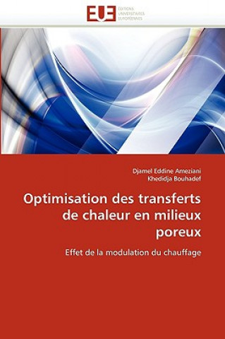 Kniha Optimisation Des Transferts de Chaleur En Milieux Poreux Djamel Eddine Ameziani