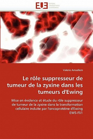 Carte Le R le Suppresseur de Tumeur de la Zyxine Dans Les Tumeurs d''ewing Valerie Amsellem