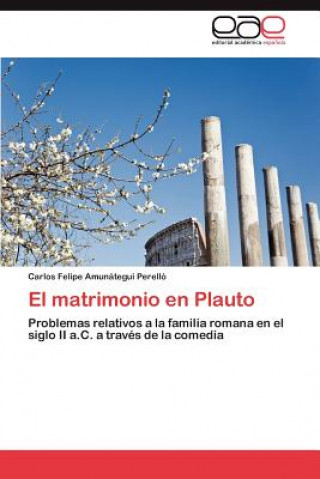 Könyv matrimonio en Plauto Amunategui Perello Carlos Felipe