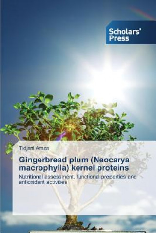 Kniha Gingerbread plum (Neocarya macrophylla) kernel proteins Tidjani Amza