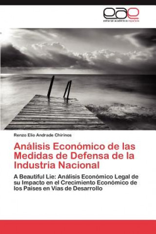 Kniha Analisis Economico de Las Medidas de Defensa de La Industria Nacional Renzo Elio Andrade Chirinos