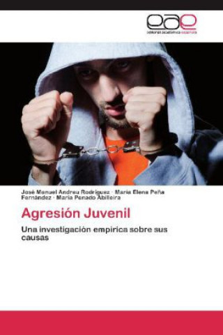 Buch Agresion Juvenil José Manuel Andreu Rodríguez