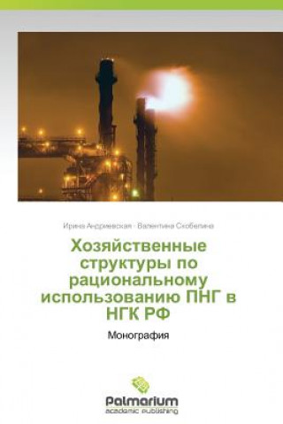 Knjiga Khozyaystvennye Struktury Po Ratsional'nomu Ispol'zovaniyu PNG V Ngk RF Irina Andrievskaya