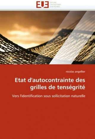 Buch Etat d'autocontrainte des grilles de tenségrité Nicolas Angellier